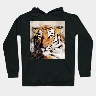 Dramabite Watercolor Tiger Portrait Hoodie